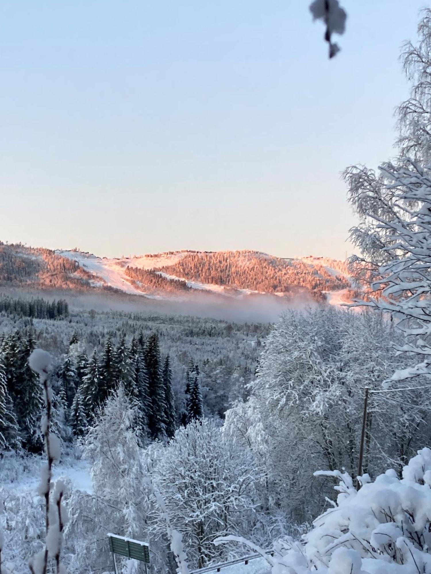 Charmig Villa Med Bastu Och Snabbt Wifi Långav Екстериор снимка